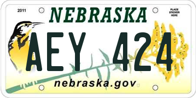 NE license plate AEY424