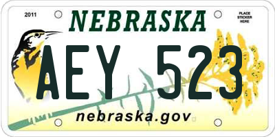 NE license plate AEY523