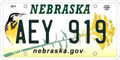 NE license plate AEY919