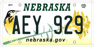 NE license plate AEY929