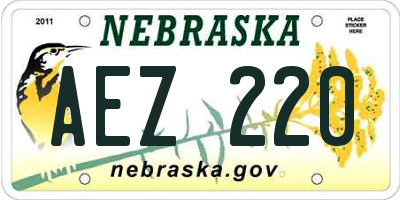 NE license plate AEZ220