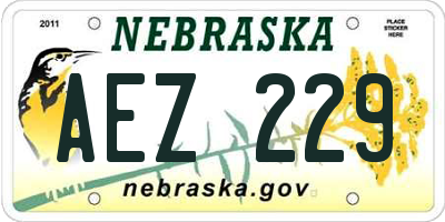 NE license plate AEZ229