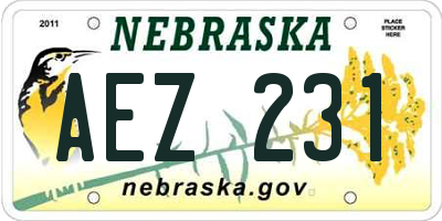NE license plate AEZ231