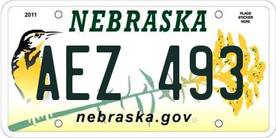 NE license plate AEZ493