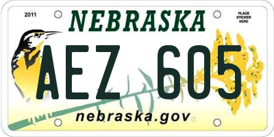 NE license plate AEZ605