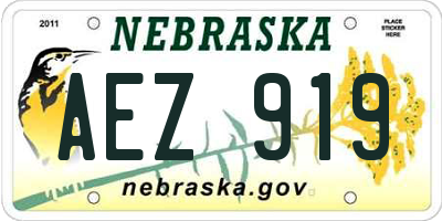 NE license plate AEZ919