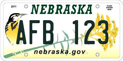 NE license plate AFB123