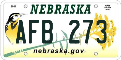 NE license plate AFB273