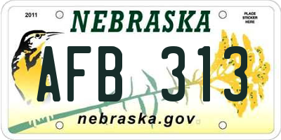 NE license plate AFB313