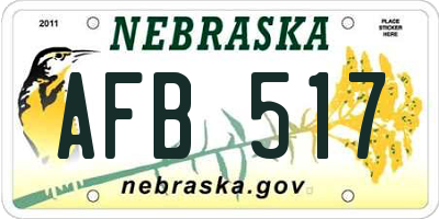 NE license plate AFB517
