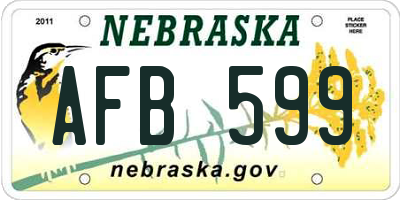 NE license plate AFB599