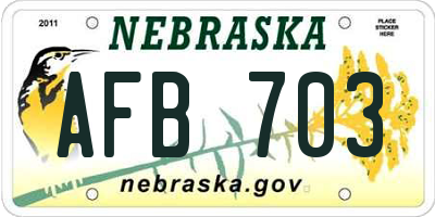 NE license plate AFB703