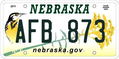 NE license plate AFB873