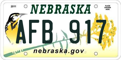 NE license plate AFB917