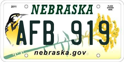 NE license plate AFB919