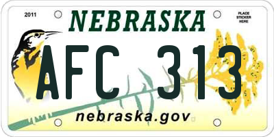 NE license plate AFC313