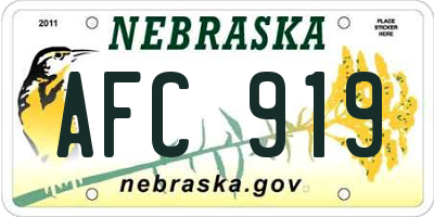 NE license plate AFC919