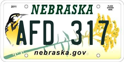 NE license plate AFD317