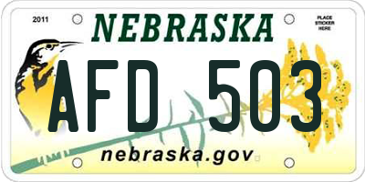 NE license plate AFD503