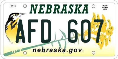NE license plate AFD607