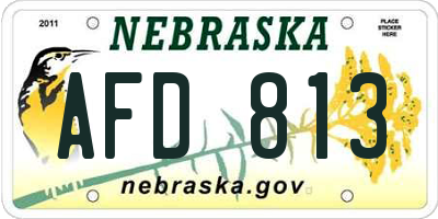 NE license plate AFD813