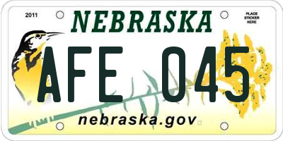 NE license plate AFE045