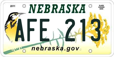 NE license plate AFE213