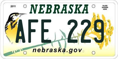 NE license plate AFE229