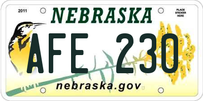 NE license plate AFE230
