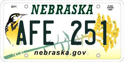 NE license plate AFE251