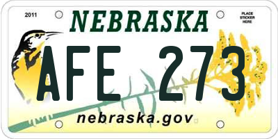 NE license plate AFE273