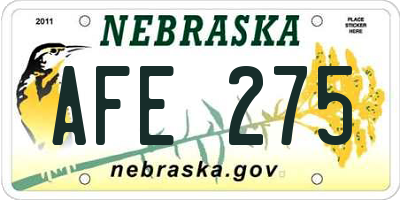 NE license plate AFE275