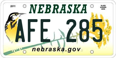 NE license plate AFE285