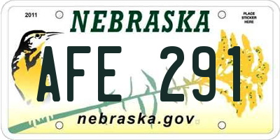 NE license plate AFE291