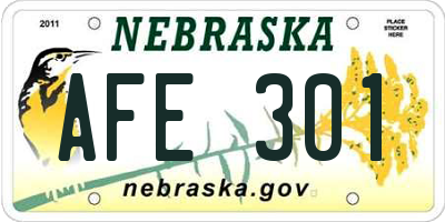 NE license plate AFE301