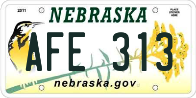 NE license plate AFE313
