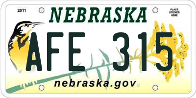 NE license plate AFE315