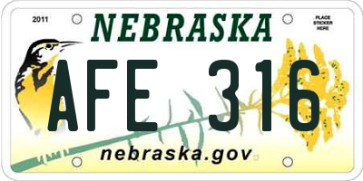 NE license plate AFE316