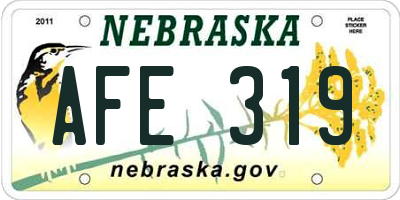 NE license plate AFE319