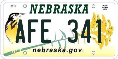 NE license plate AFE341