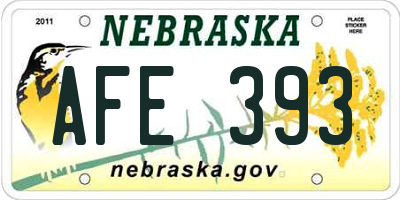 NE license plate AFE393