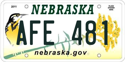 NE license plate AFE481