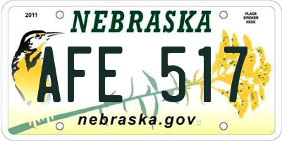 NE license plate AFE517
