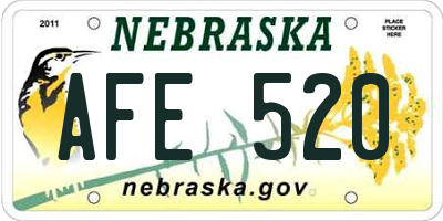 NE license plate AFE520