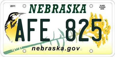 NE license plate AFE825
