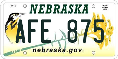 NE license plate AFE875