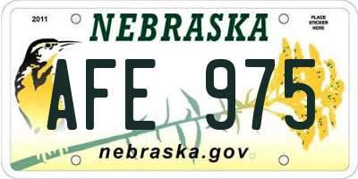 NE license plate AFE975