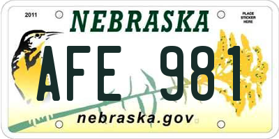 NE license plate AFE981