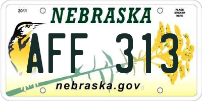 NE license plate AFF313