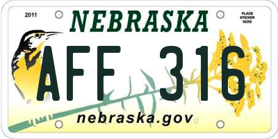 NE license plate AFF316